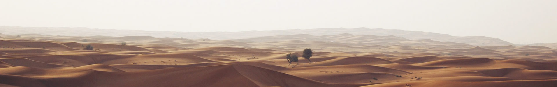 ΪܿƼ޹˾
